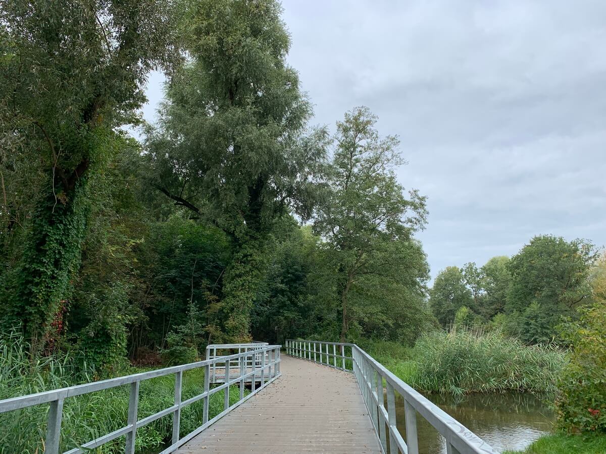 Ruhiger Holzsteg mit grauem Geländer, grüne Bäume am Fluss, wolkig