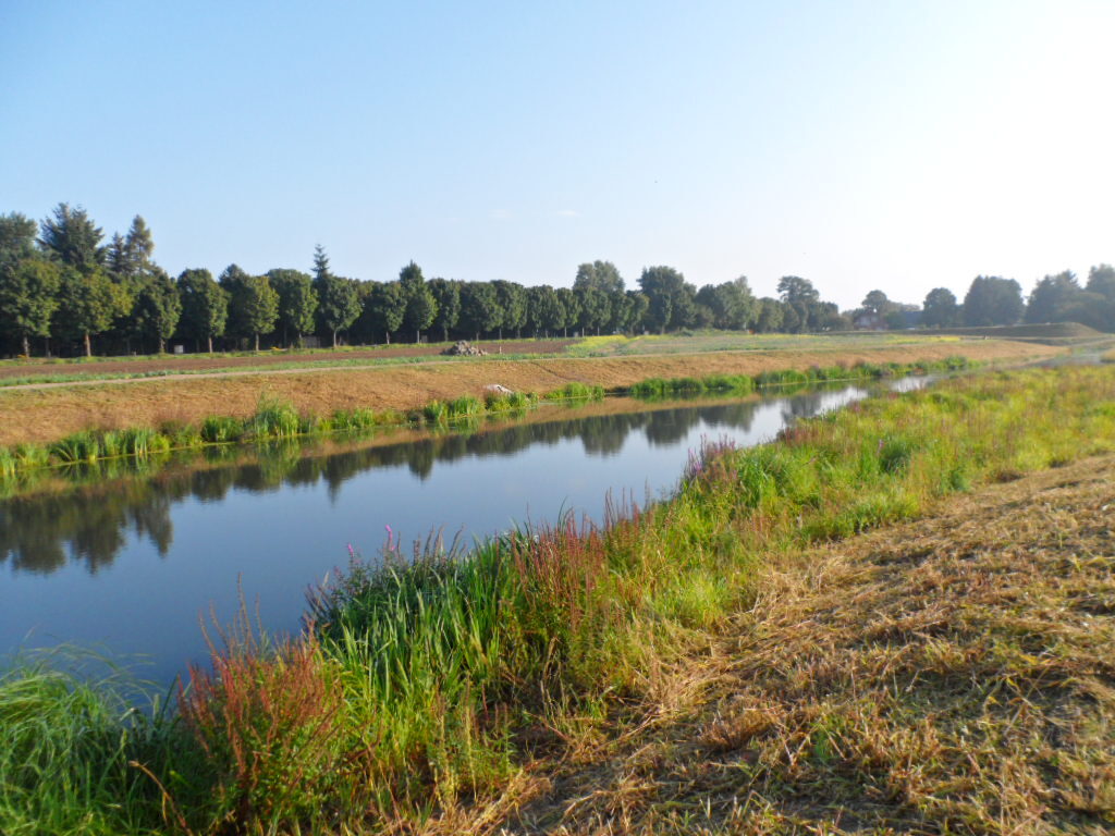 Ruhiger Fluss mit blauem Himmel, grünen Ufern und Baumreihe spiegelnd