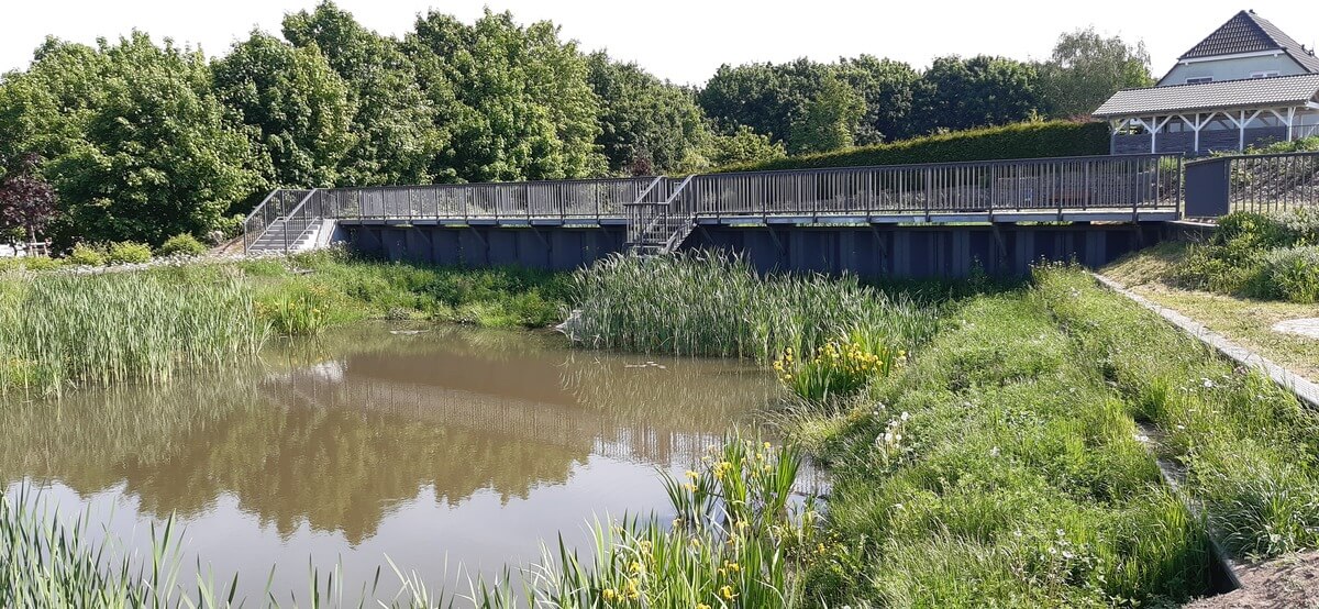 Ruhiger Teich mit grünen Schilfen, grauem Steg und Haus am Ufer